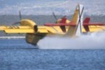 Air Tractor or 'waterbomber' loading water in the Bay