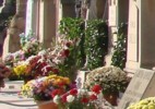 flowers Palma Cemetery