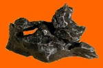 un meteorito de hierro